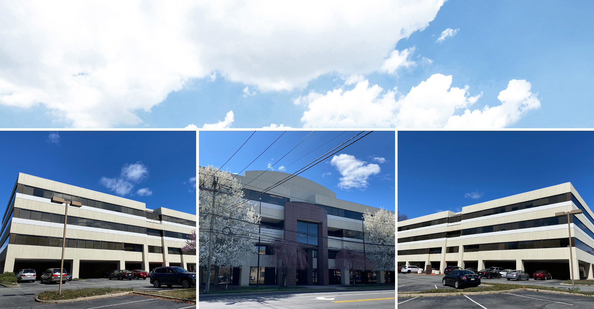 Bergman Real Estate Group NJ Prime Office Space Solutions