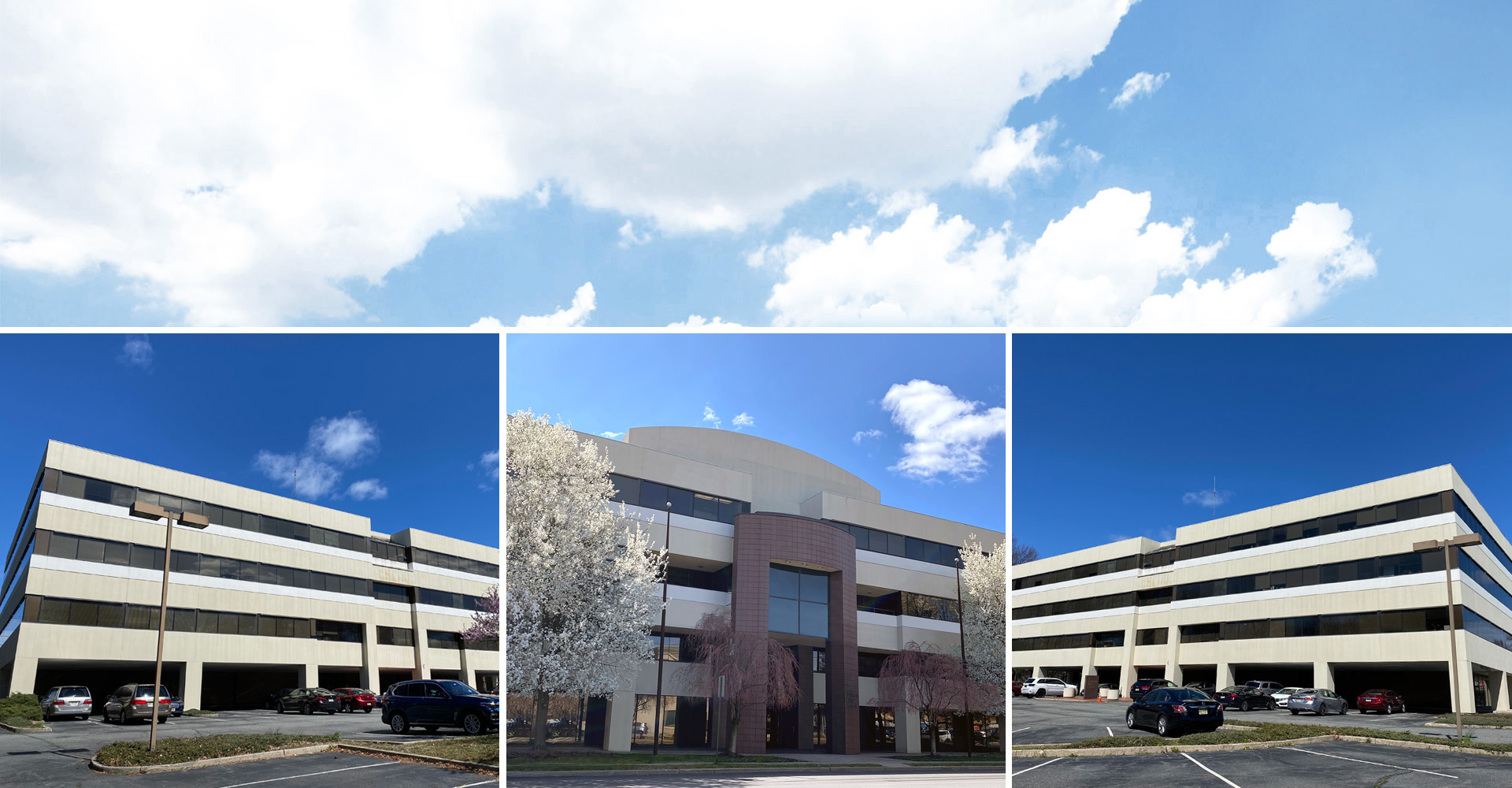 Bergman Real Estate Group NJ Prime Office Space Solutions